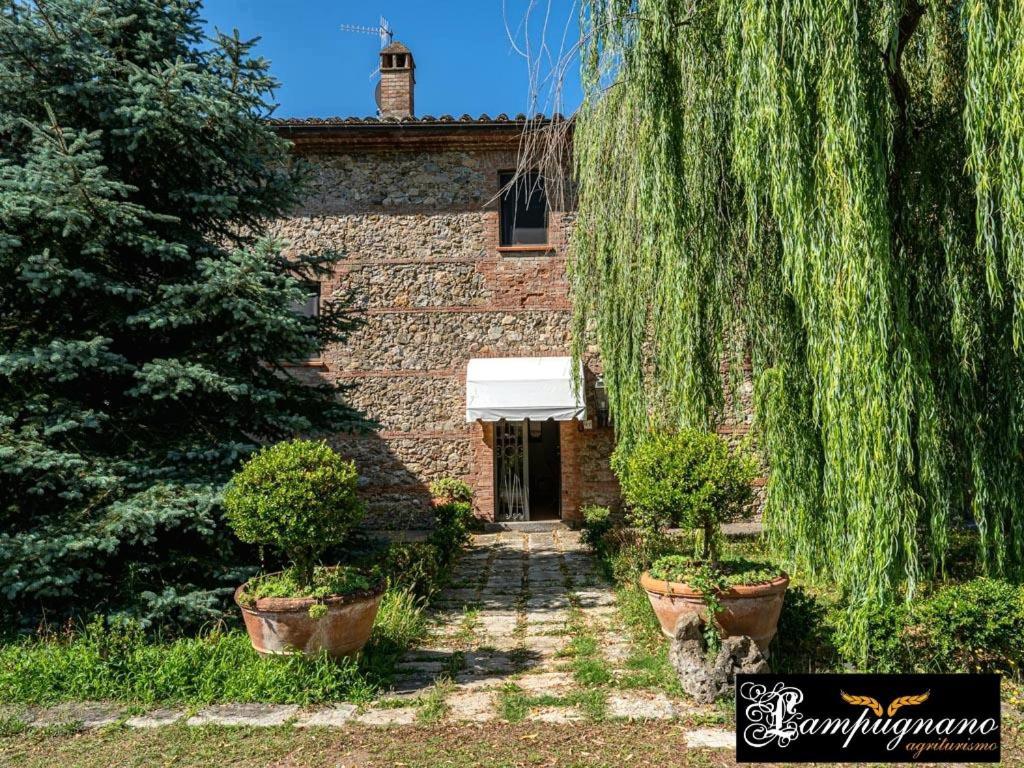 Agriturismo Lampugnano Paganico  Esterno foto