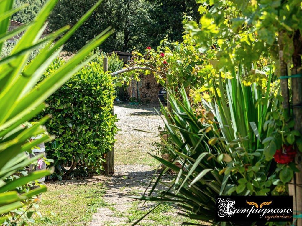 Agriturismo Lampugnano Paganico  Esterno foto